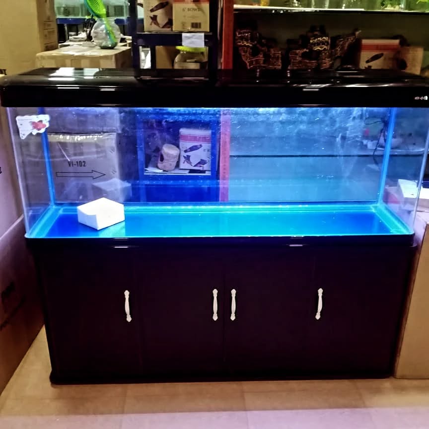 Full Setup Aquarium Photo