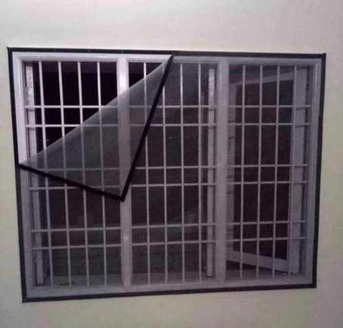 Mosquito Net Photo