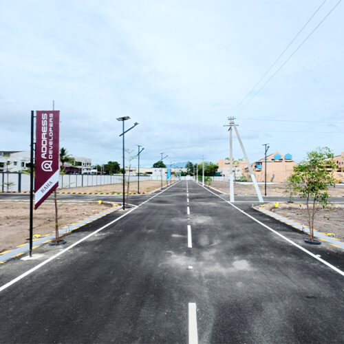 Ongoing Projects Photo (5/8)