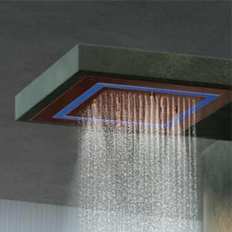 Head Shower Photo