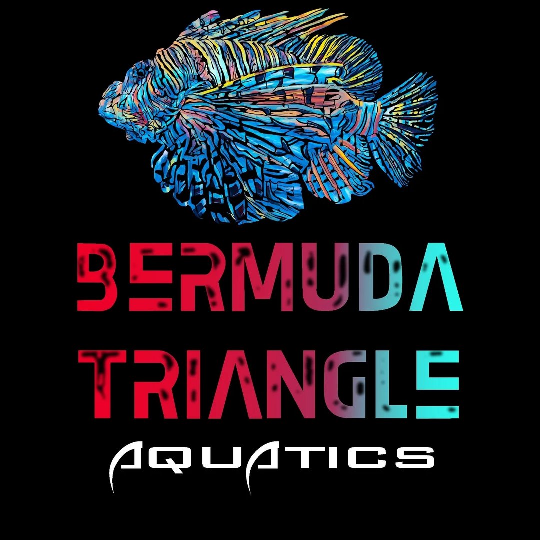 BERMUDA TRIANGLE AQUATICS