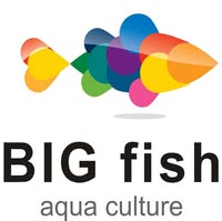 Bigfish Aquaculture